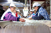 Sorting line in Peru